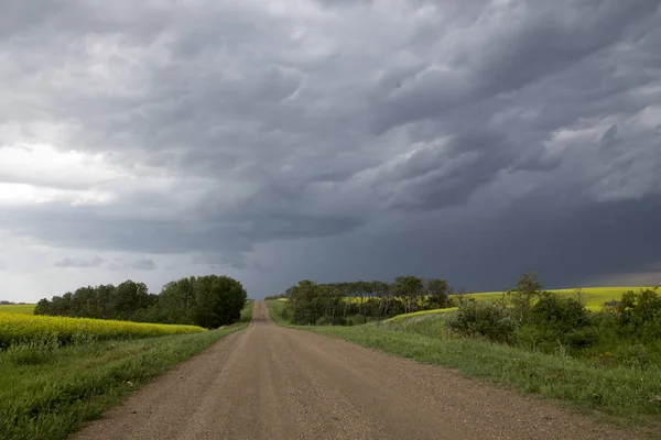 Prairie Грозових Хмар Сільській Налаштування Саскачеван Канада — стокове фото