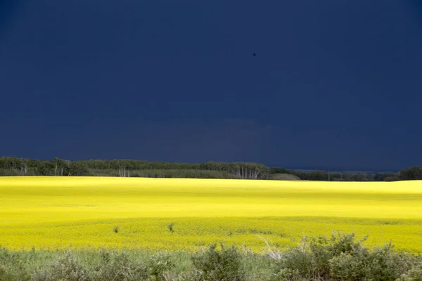 Nuvole Tempesta Prateria Saskatchewan Canada Ambiente Rurale — Foto Stock