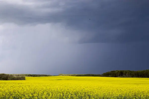 Nuvens Tempestade Pradaria Saskatchewan Canadá Cenário Rural — Fotografia de Stock