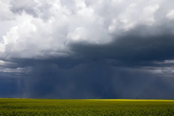 Nuvens Tempestade Pradaria Saskatchewan Canadá Cenário Rural — Fotografia de Stock