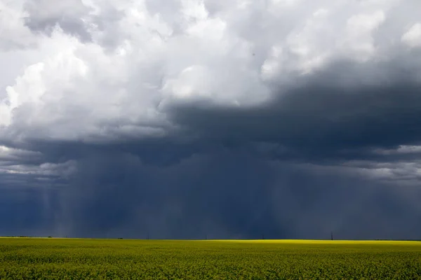 Pradera Tormenta Nubes Saskatchewan Canadá Entorno Rural — Foto de Stock