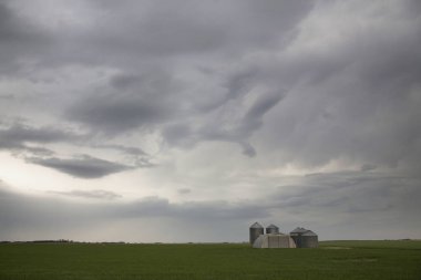 Çayır fırtına bulutları Saskatchewan Kanada yaz tehlike