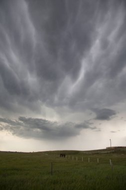 Çayır fırtına bulutları Saskatchewan Kanada yaz tehlike