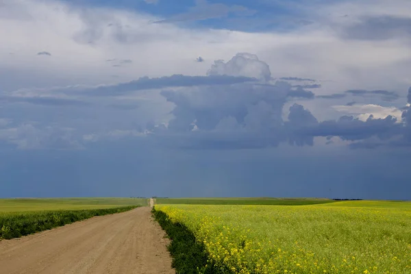 Prairie Tempestade Nuvens Saskatchewan Canadá Perigo Verão — Fotografia de Stock