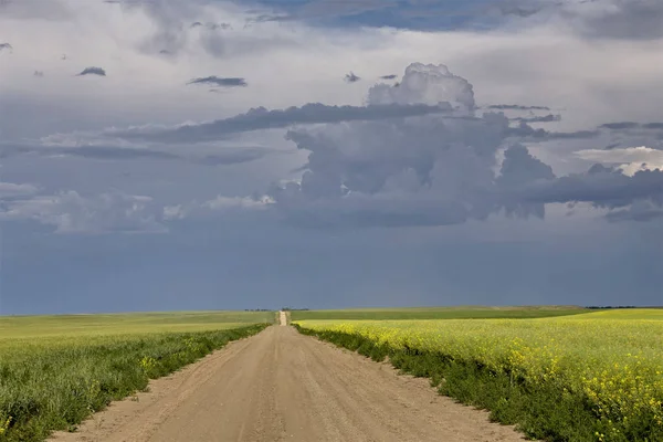 Las Nubes Tormenta Pradera Saskatchewan Canadá Summer Danger — Foto de Stock