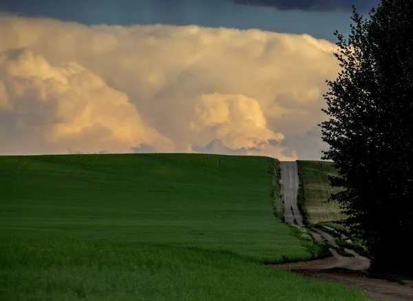 Las Nubes Tormenta Pradera Saskatchewan Canadá Summer Danger —  Fotos de Stock