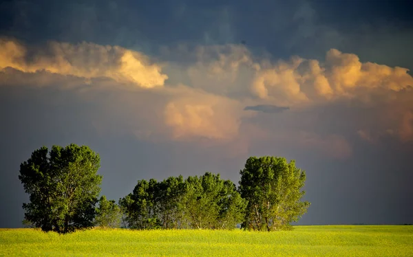 Las Nubes Tormenta Pradera Saskatchewan Canadá Summer Danger —  Fotos de Stock