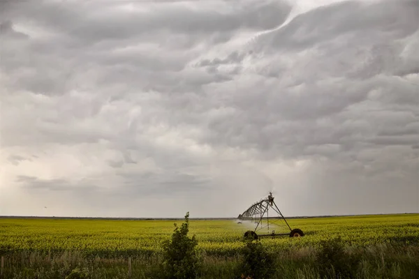 Preirie Storm Clouds Saskatchewan Canada Summer Danger — стоковое фото