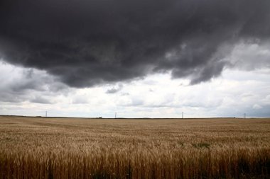 Bozkır Fırtınası Kanada 'yı bulutlandırıyor Yaz tehlikesi kırsal 