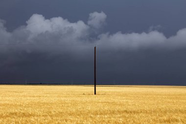 Bozkır Fırtınası Kanada 'yı bulutlandırıyor Yaz tehlikesi kırsal 