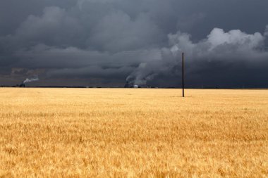 Bozkır Fırtınası Kanada 'yı bulutlandırıyor Yaz tehlikesi kırsal 