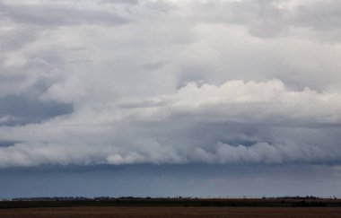 Bozkır Fırtınası Kanada 'yı bulutlandırıyor Yaz tehlikesi kırsal 