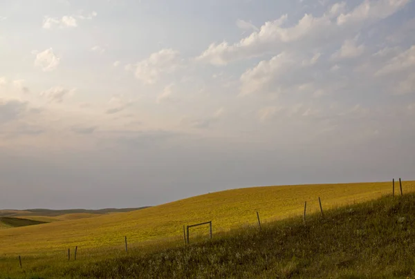 Sommer Prärie Szene Kanada Saskatchewan Erntezeit — Stockfoto