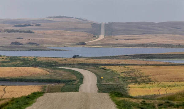 Θερινή Ώρα Συγκομιδή Prairie Saskatchewan Του Καναδά Σκηνή — Φωτογραφία Αρχείου