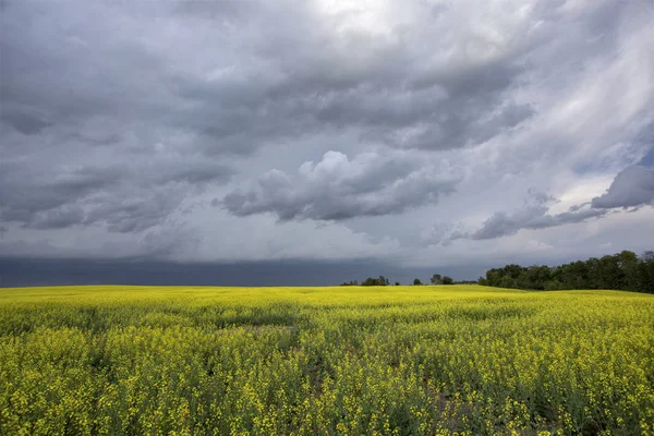 草原风暴笼罩着加拿大乡村夏季的危险 — 图库照片