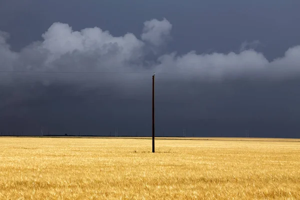 Prairie Storm Nubes Canadá Peligro Verano Rural —  Fotos de Stock