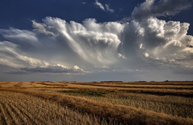 Prairie fırtına bulutları Saskatchewan Kanada arazi