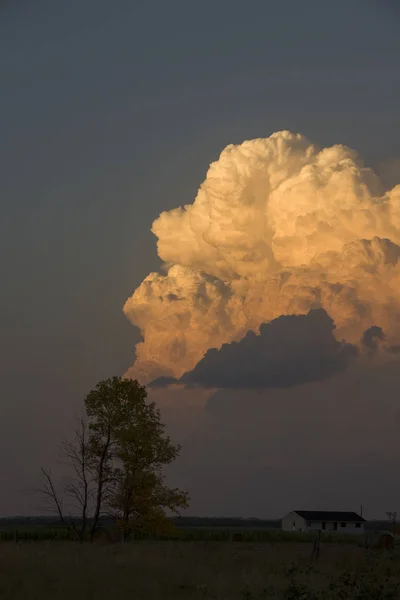 Prairie Storm Wolken Saskatchewan Canada Landbouwgrond — Stockfoto