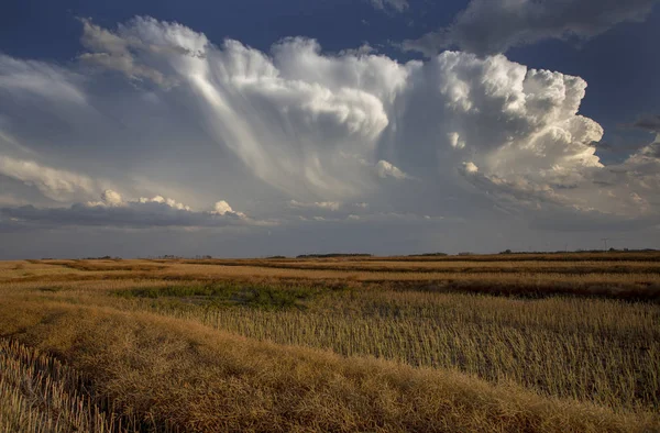 Tormenta Pradera Nubes Saskatchewan Canada Farm Land — Foto de Stock
