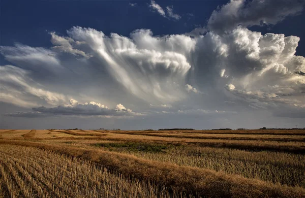 Prairie Storm Wolken Saskatchewan Canada Landbouwgrond — Stockfoto
