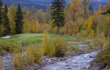 Altın British Columbia tekme at Golf Sahası