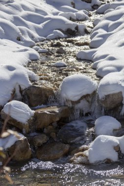 Rocky Dağları kış sonbahar KANANASKIS Banff Kanada