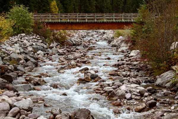 Golden British Columbia Kicking Horse Country Stream — Stock Photo, Image