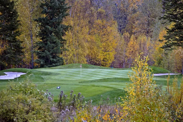 Golden British Columbia Kicking Horse Golf Course — Stock Photo, Image