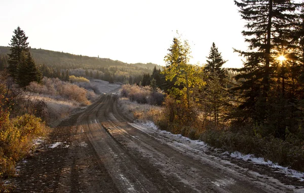 Cypress Hills Primeira Queda Neve Alberta Saskatchewan Canadá — Fotografia de Stock