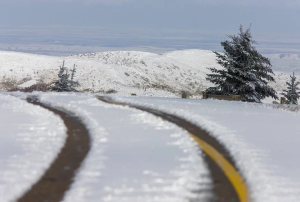 サイプレス丘最初降雪アルバータ州 サスカチュワン州カナダ — ストック写真