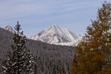 Rocky Dağları kış sonbahar KANANASKIS Banff Kanada