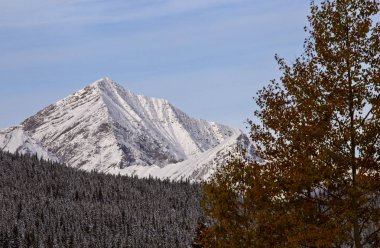 Rocky Dağları kış sonbahar KANANASKIS Banff Kanada