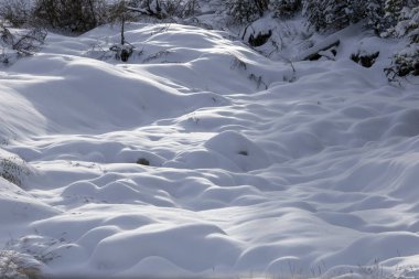 Rocky Dağları kış sonbahar KANANASKIS Banff Kanada