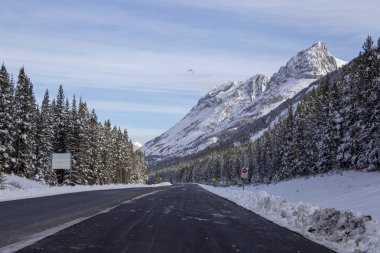 Rocky Dağları kış sonbahar KANANASKIS Banff Kanada