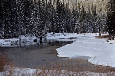 Rocky Dağları kış sonbahar KANANASKIS Banff Kanada