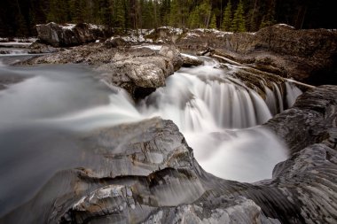 Tekme at nehir Yoho Milli Parkı