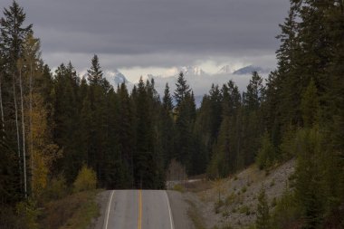 Rocky Dağları kış sonbahar altın Bc Kanada
