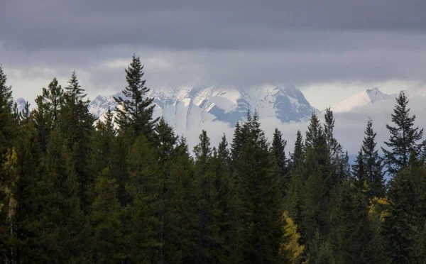 Sziklás Hegység Őszi Téli Kananaskis Banff Kanada — Stock Fotó