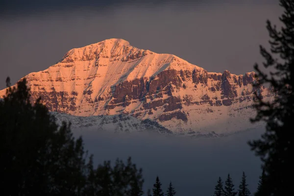 Rocky Mountains Winter Fall Кананаскис Банфф Канада — стоковое фото