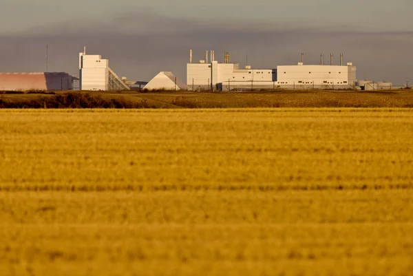 Potash Mine Saskatchewan Farmers Field Agriculture Environment — Stock Photo, Image