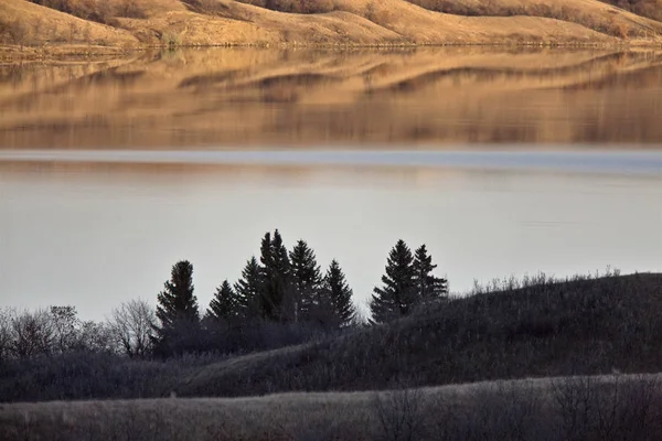 秋バッファロー ポンド カナダのサスカチュワン州の湖 — ストック写真