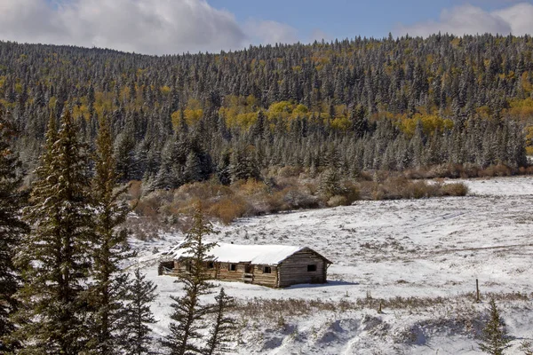 Cypress Hills Primera Nevada Alberta Saskatchewan Canadá — Foto de Stock