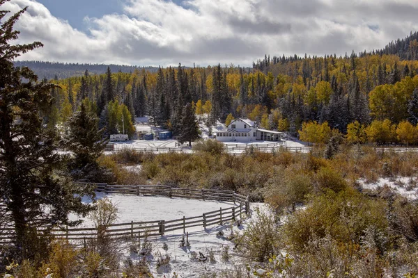 Cypress Hills First Snowfall Alberta Saskatchewan Canada — Stock Photo, Image