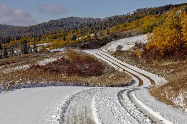 Cypress Hills Pierwszego Śniegu Alberta Saskatchewan Kanada — Zdjęcie stockowe