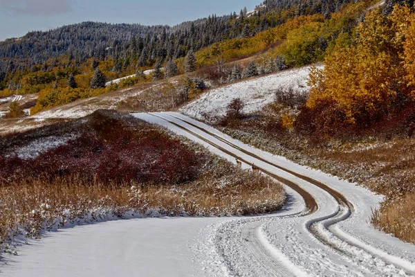 Cypress Hills Eerste Sneeuwval Alberta Saskatchewan Canada — Stockfoto