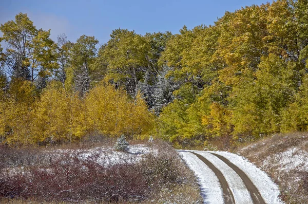 Cypress Hills Eerste Sneeuwval Alberta Saskatchewan Canada — Stockfoto