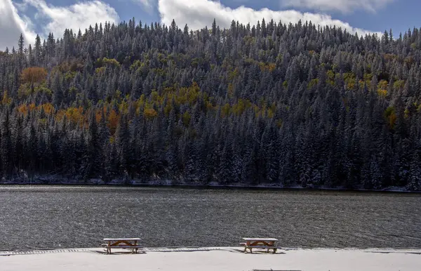 Cypress Hills Eerste Sneeuwval Alberta Saskatchewan Canada — Stockfoto