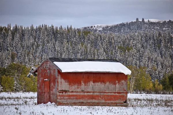 Herfst Kleuren Kananaskis Contrast Eerste Sneeuwval Aberta — Stockfoto