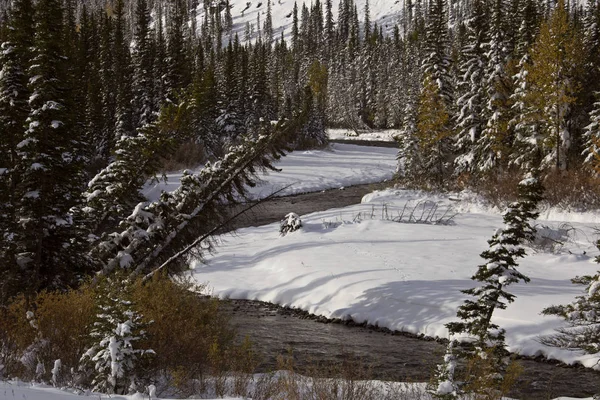 Góry Skaliste Jesień Zima Kananaskis Banff Kanada — Zdjęcie stockowe