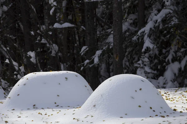 겨울이을 캐나다 — 스톡 사진
